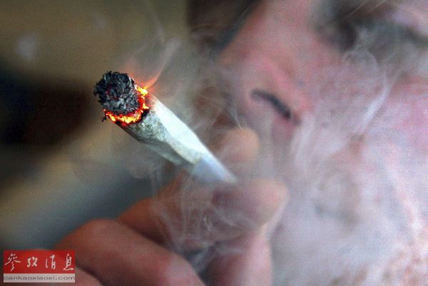 【禁毒知识】关于大麻你不知道的22件事