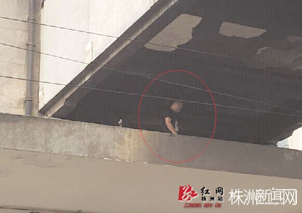 男子爬上十多米高的雨棚,身旁都是高压电网。通讯员 供图